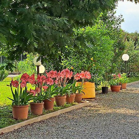 Hotel Borgo Barucchella Sant'Andra Esterno foto