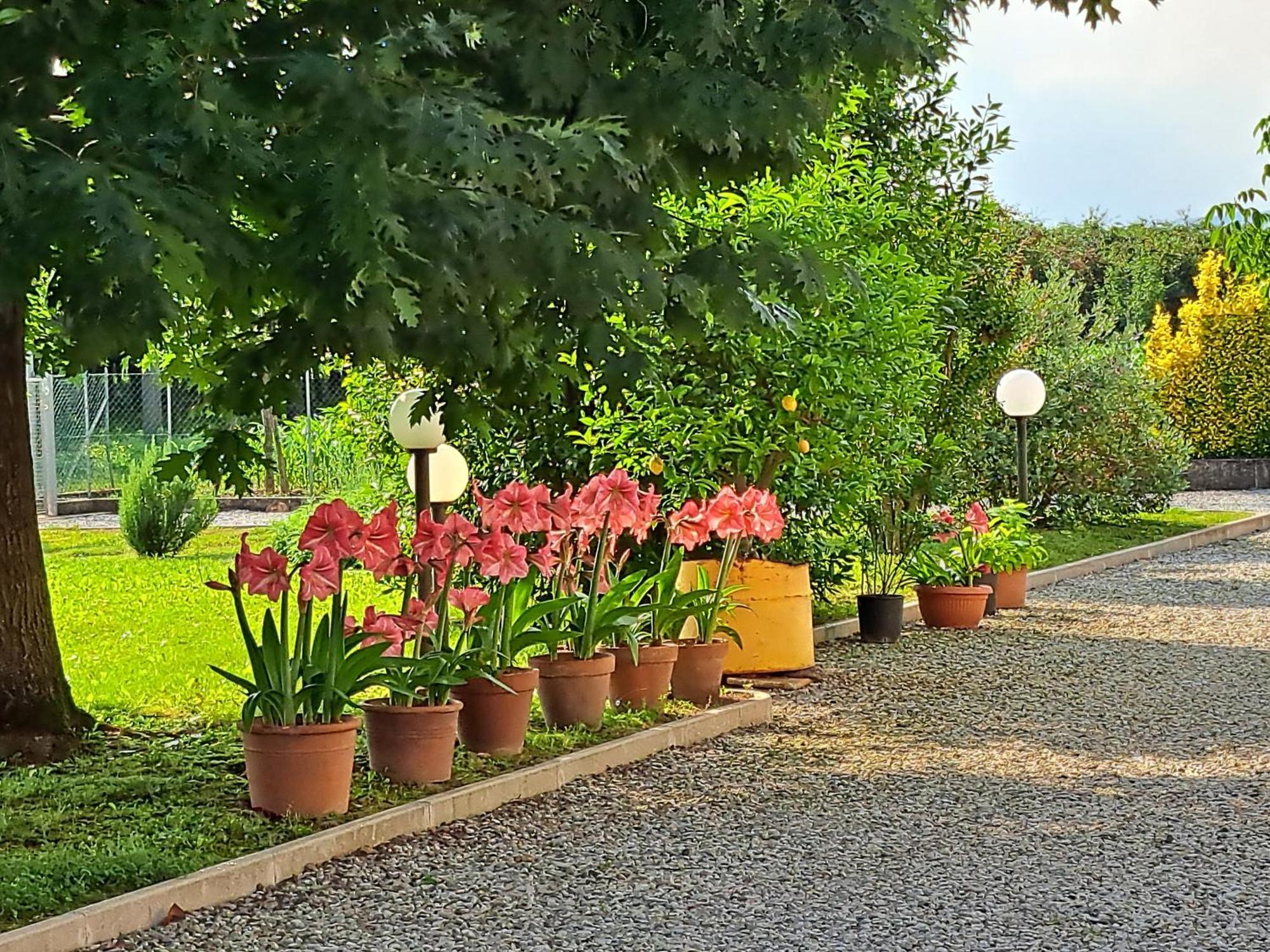 Hotel Borgo Barucchella Sant'Andra Esterno foto