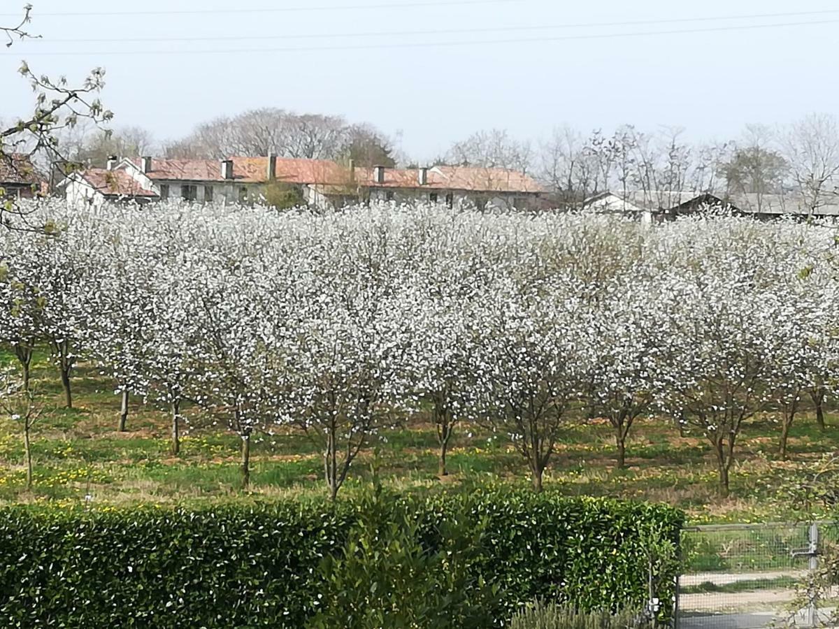 Hotel Borgo Barucchella Sant'Andra Esterno foto